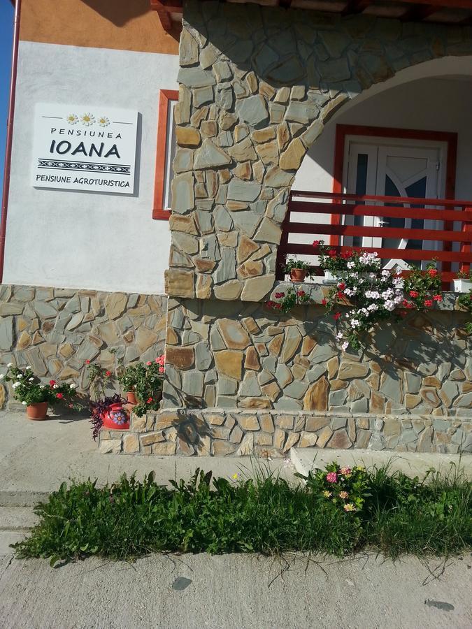 Pensiunea Agroturistica Ioana Bradulet Exterior foto