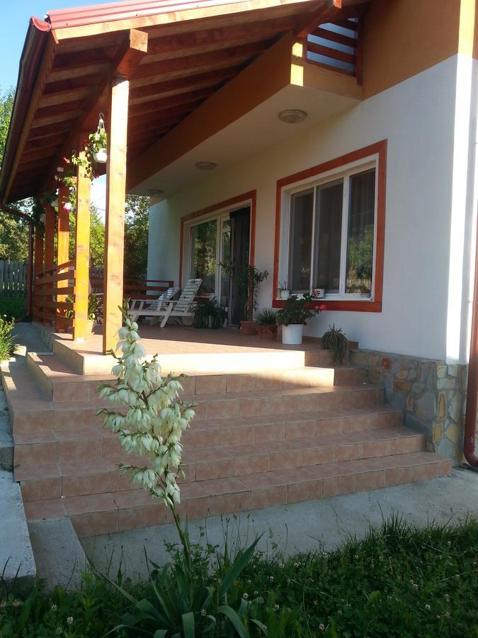 Pensiunea Agroturistica Ioana Bradulet Exterior foto